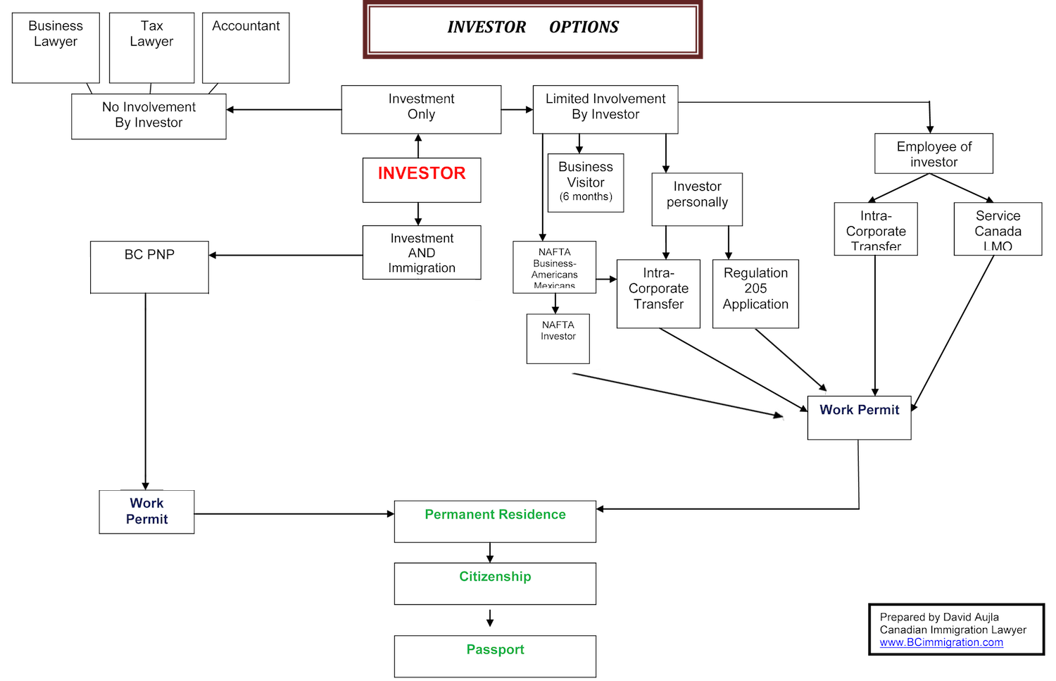 Investor Options Flow Chart